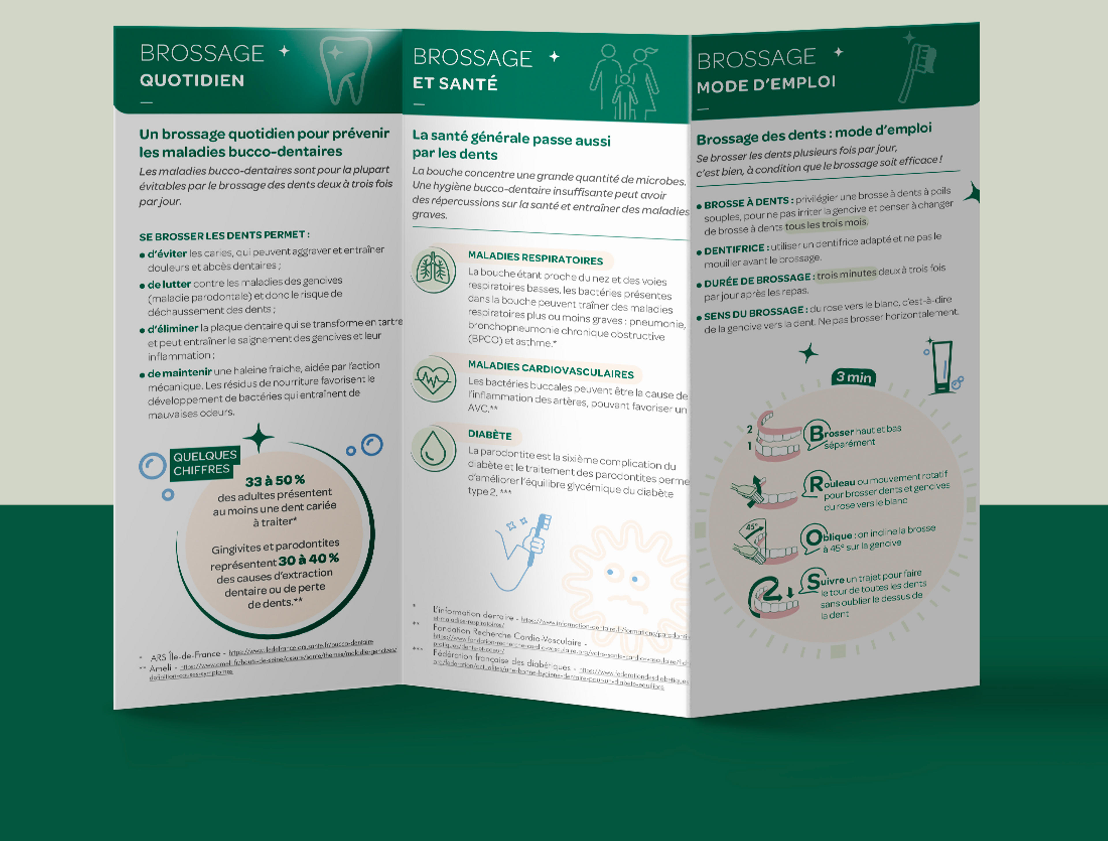 3 volets A4 recto-verso pour la marque L'ARBRE VERT